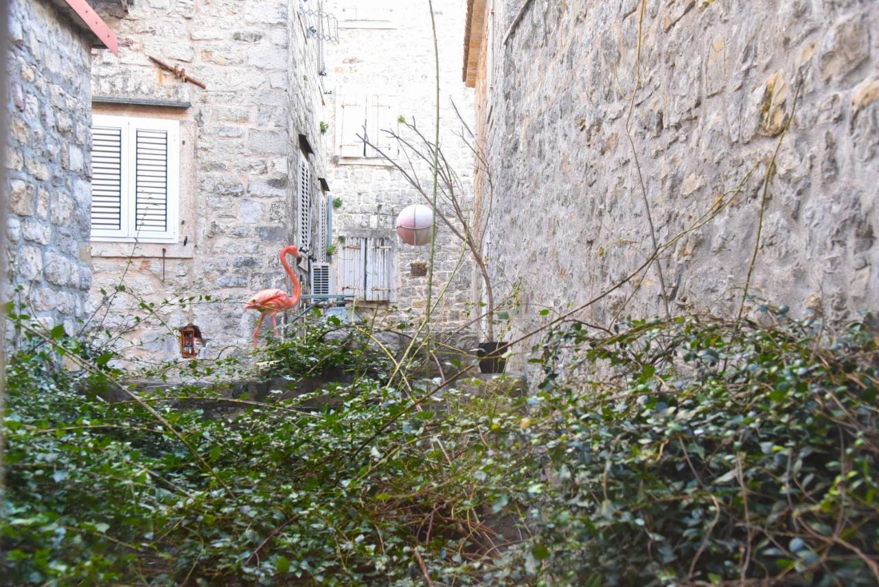 Apartament Palm Square 1 Old Town Apt Budva Zewnętrze zdjęcie